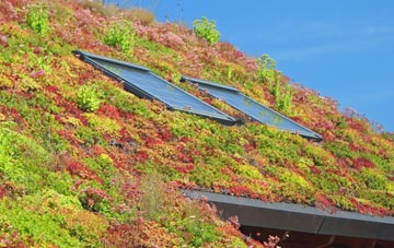 Bridge Of Canny living roof systems