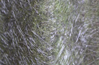 Bridge Of Canny fibreglass roof work